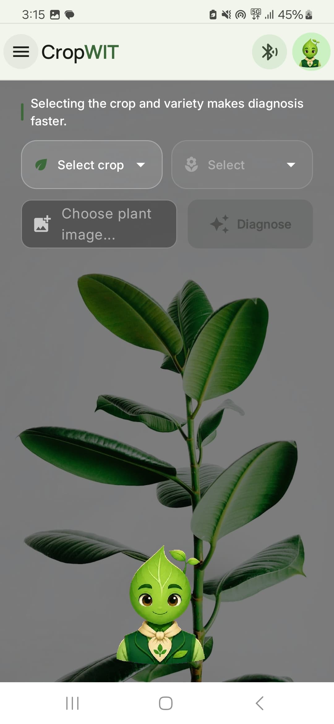 Greenard mobile interface: Diagnosis entry